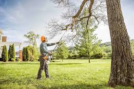 Best Tree Mulching Services  in Rio Vista, TX